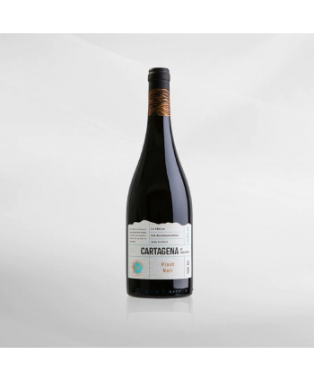 Casa Marin Cartagena Pinot Noir 750 ml