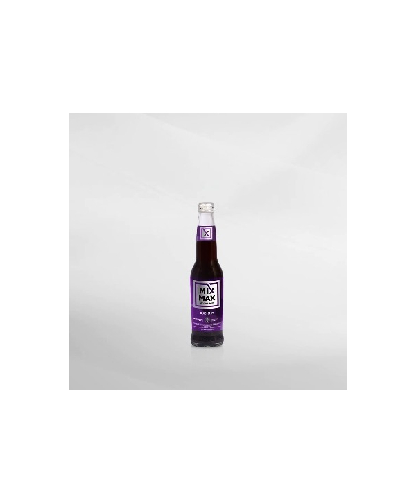 Mix Max Blueberry 275 ml