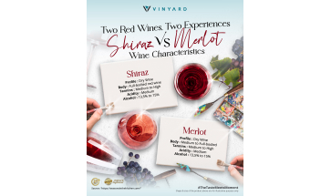 Shiraz vs Merlot: One Color, Two Bold Stories in a Glass